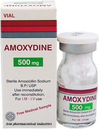 Amoxydine 500