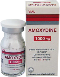 Amoxydine 1000